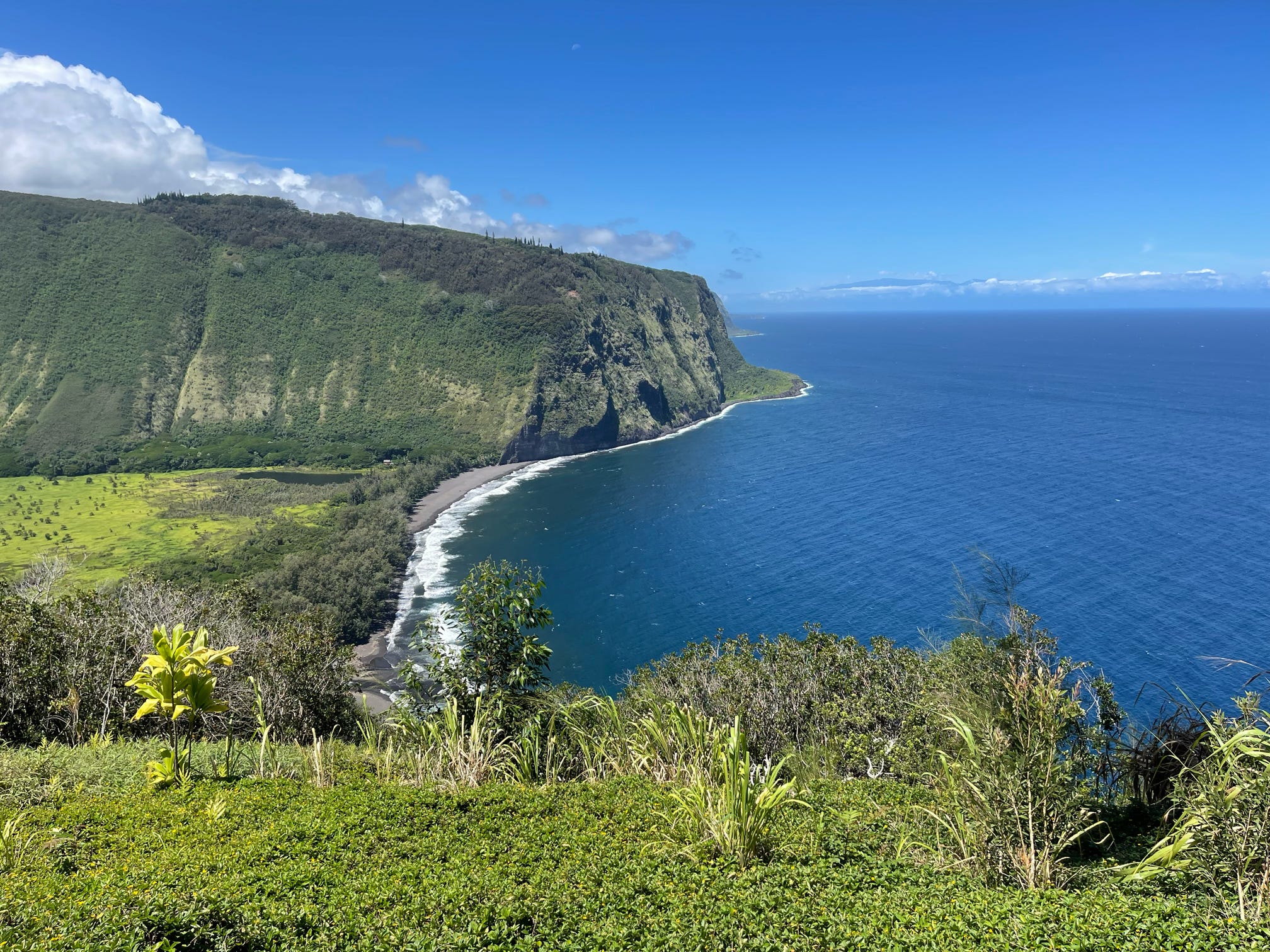 Coastal cliffs overlooking a vibrant blue ocean under clear skies.