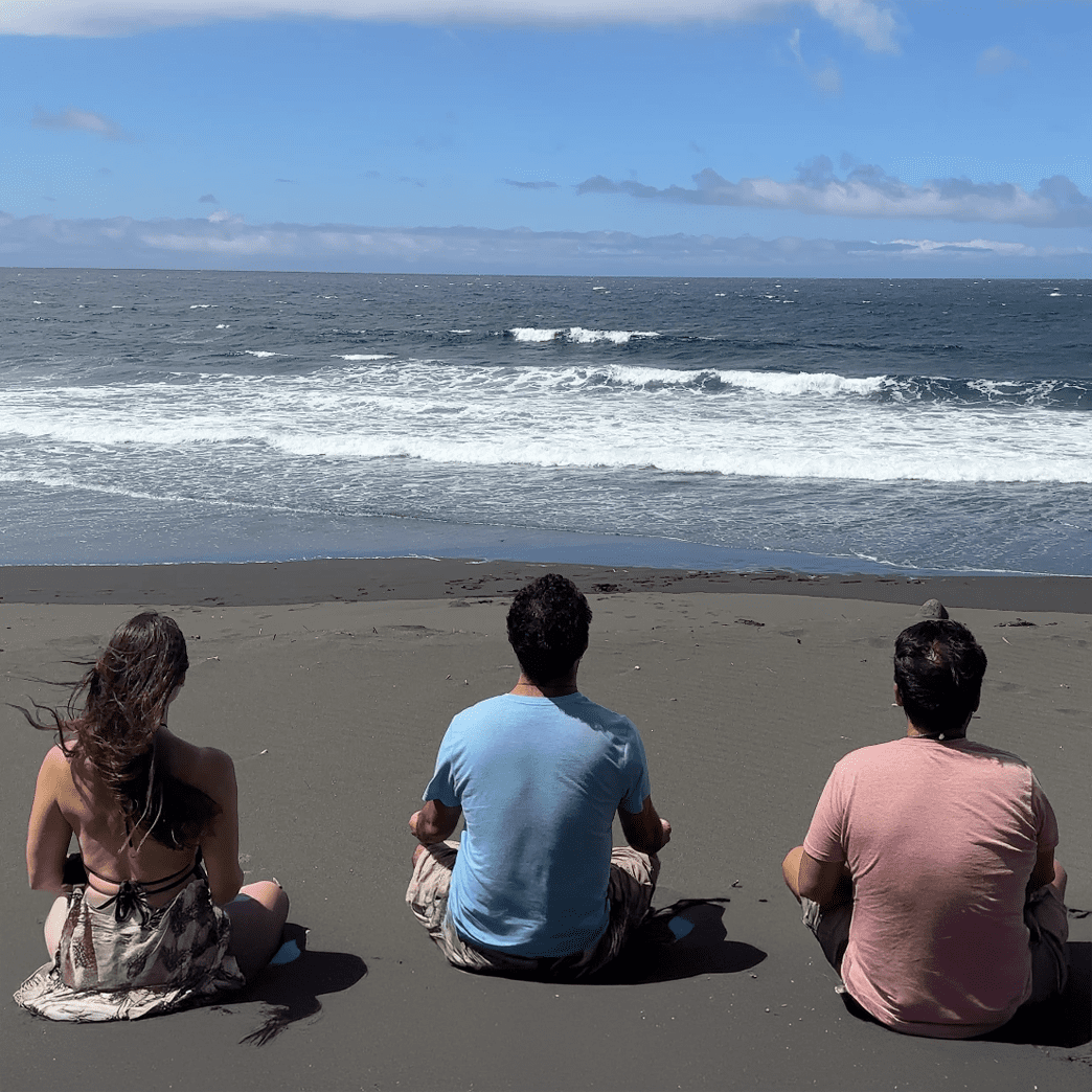 a group of friends at the beach in Hawaii